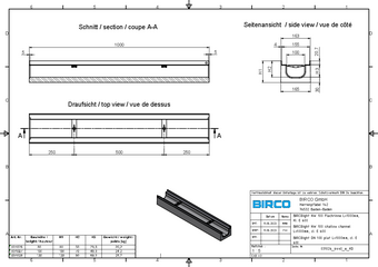 BIRCOlight® mit Stahlzarge NW 100 AS, Flachrinne